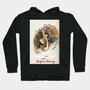 Christmas Rabbit - Beatrix Potter Hoodie